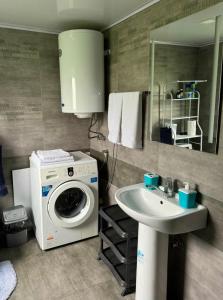 uma casa de banho com uma máquina de lavar roupa e um lavatório em Lagodekhi Woods Guest House em Lagodekhi