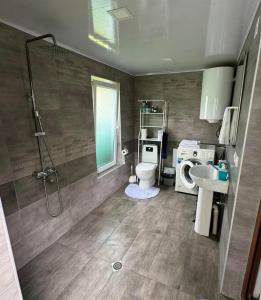 uma casa de banho com um chuveiro, um WC e um lavatório. em Lagodekhi Woods Guest House em Lagodekhi