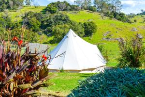 En trädgård utanför Mountain View Tilba Tilba - Glamping