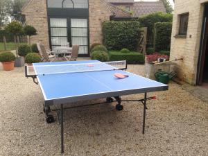 a blue ping pong table in a yard at Vakantielogies Boerke Naas in Bruges