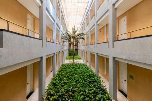 un pasillo vacío en un edificio con plantas en APARTAMENTOS FIBES GARDEN SEVILLA, en Sevilla