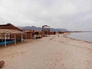 a beach with a group of huts and the water at Antika camp in Nuweiba
