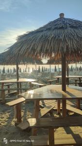 Sea beach relax في تيرّينيا: مجموعة من طاولات التنزه مع مظلة على الشاطئ