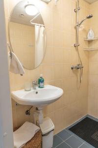 een badkamer met een wastafel en een spiegel bij Wilde Guest Apartments Ülikooli 6 in Tartu