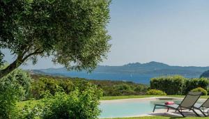 帕劳Villa Capo d'Orso的相册照片