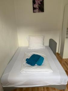 מיטה או מיטות בחדר ב-Erlangen City-Zentral-Garten-30qm