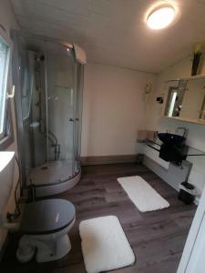 a bathroom with a shower and a toilet and a sink at Ferienhaus mit Herz in Landkern