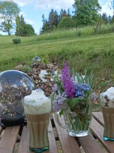 zwei Gläser Bier und eine Vase Blumen auf einem Picknicktisch in der Unterkunft chaloupka Karolinka in Karolinka