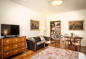 TV a/nebo společenská místnost v ubytování Apartments Dlouhá 93