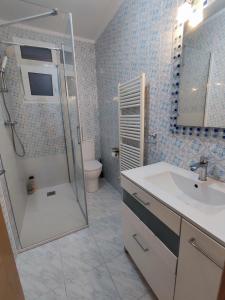 a bathroom with a shower and a sink and a toilet at Laredo-Colindres in Colindres