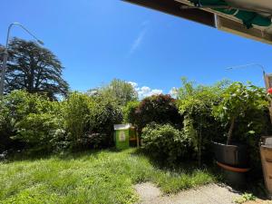 a garden with bushes and plants in a yard at Lake side(5min)/fire place/garden/freeparking/45m2 in La Tour-de-Peilz
