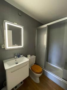 a bathroom with a toilet and a sink and a shower at Lake side(5min)/fire place/garden/freeparking/45m2 in La Tour-de-Peilz