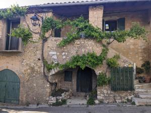 stary kamienny budynek z zielonymi drzwiami i winoroślą w obiekcie Appartement 1 chambre, 55m2 - Maison de Village de charme 17eme Siecle - Garrigue Héraultaise w mieście Argelliers