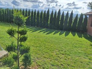Taman di luar Apartmani Milosavljević