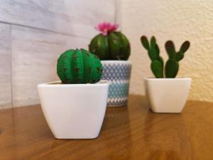 trois plantes en pot assises au-dessus d'une table dans l'établissement ALOJAMIENTO MIRABUENOS, à Aranda de Duero
