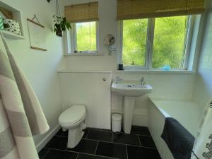 Un baño blanco con lavabo e inodoro. en Rock Pipit, Moor and Sea Holidays, five minutes drive to the sea, en Lynton 18 fotos más