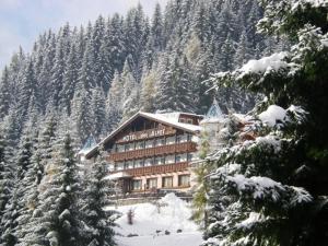 Hotel Des Alpes v zimě