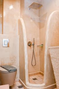 a bathroom with a shower with a toilet at Georgia Pelekanou Studios in Fira