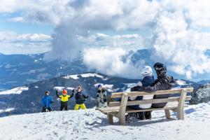Hotel Alpengasthof Hochegger during the winter