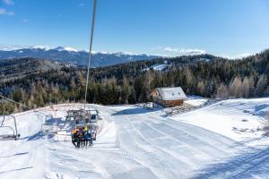 Hotel Alpengasthof Hochegger during the winter