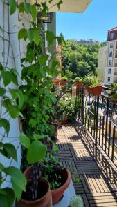 a balcony with potted plants on a building at Kyiv Jungle apartment in Kyiv