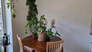 einen Esstisch mit Pflanzen darauf in der Unterkunft Kyiv Jungle apartment in Kiew