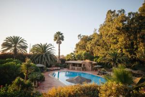 une piscine dans un jardin planté de palmiers dans l'établissement Dar Maktoub, à Agadir