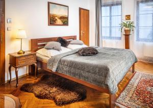Postel nebo postele na pokoji v ubytování Apartments Dlouhá 93