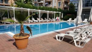 a swimming pool with chairs and a palm tree next to a hotel at Cozy apartment by Julie in Sunny Beach