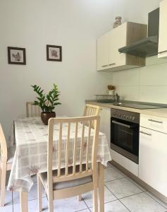 Kuchyň nebo kuchyňský kout v ubytování Apartments Curnić