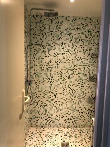 uma casa de banho com um chuveiro e uma parede em azulejo em "Castel" em Saint-Amand-de-Coly