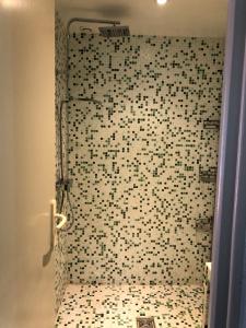 a bathroom with a shower with a tiled wall at "Castel" in Saint-Amand-de-Coly +15 photos