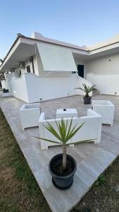a patio with white chairs and a potted plant at Villa Angela case vacanza in Vieste