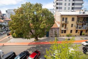 widok na ulicę z samochodami zaparkowanymi na parkingu w obiekcie IRISE w mieście Batumi