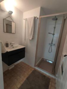 a bathroom with a shower and a sink at Ferienwohnung mit großem Garten in Jesewitz