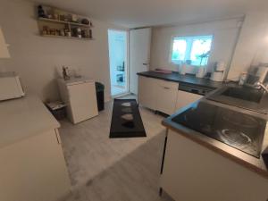 a kitchen with a sink and a counter top at Ferienwohnung mit großem Garten in Jesewitz