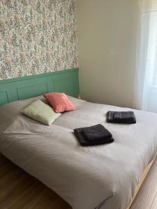 a bed with two pillows on top of it at *La Belle Saison* lumineux, espace de travail, Wifi, Belfort ville in Belfort