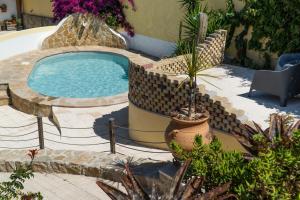 una piscina in un giardino con una pianta in vaso di Casa Bolacha a Colares