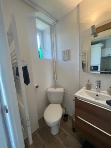 a small bathroom with a toilet and a sink at *La Belle Saison* lumineux, espace de travail, Wifi, Belfort ville in Belfort