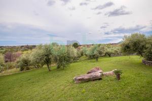 a green field with trees and a rock in the grass at ''Villa Elia'' in Dhíkella