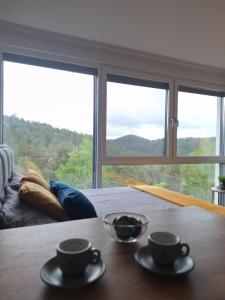 Kalnų panorama iš apartamentų arba bendras kalnų vaizdas