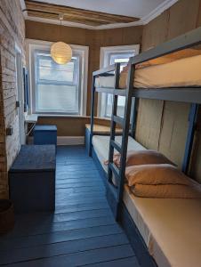 Cette chambre comprend 2 lits superposés et une fenêtre. dans l'établissement Bunkhouse Bournemouth, à Bournemouth