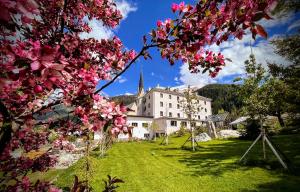 Aed väljaspool majutusasutust B&B Villa Stelvio