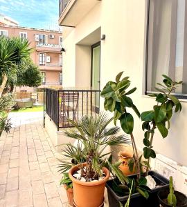 a balcony with a bunch of plants in pots at EcoCasa Neapolis in Siracusa