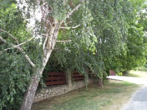 Fotografie z fotogalerie ubytování Kinga House v destinaci Keszthely