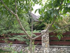 Fotografie z fotogalerie ubytování Kinga House v destinaci Keszthely