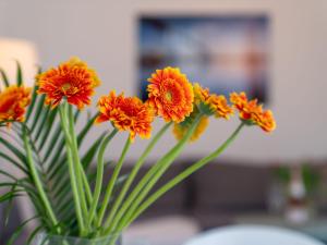 a bunch of orange flowers in a vase at Apartment Stolzenfels-2 by Interhome in Ostseebad Sellin