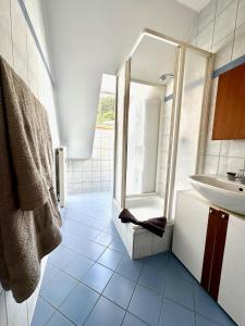 ドイチュランツベルクにあるApartment im Grünenのシャワーと洗面台付きのバスルーム