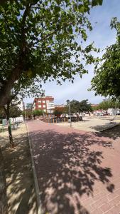 埃爾帕爾馬的住宿－Apartamento funcional Arrixaca，街道中央有树的公园