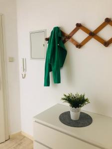 a green coat hanging on a wall with a plant at Zentrale 1 1/2 Zimmer Apartment in Wolfsburg